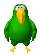 Peedy